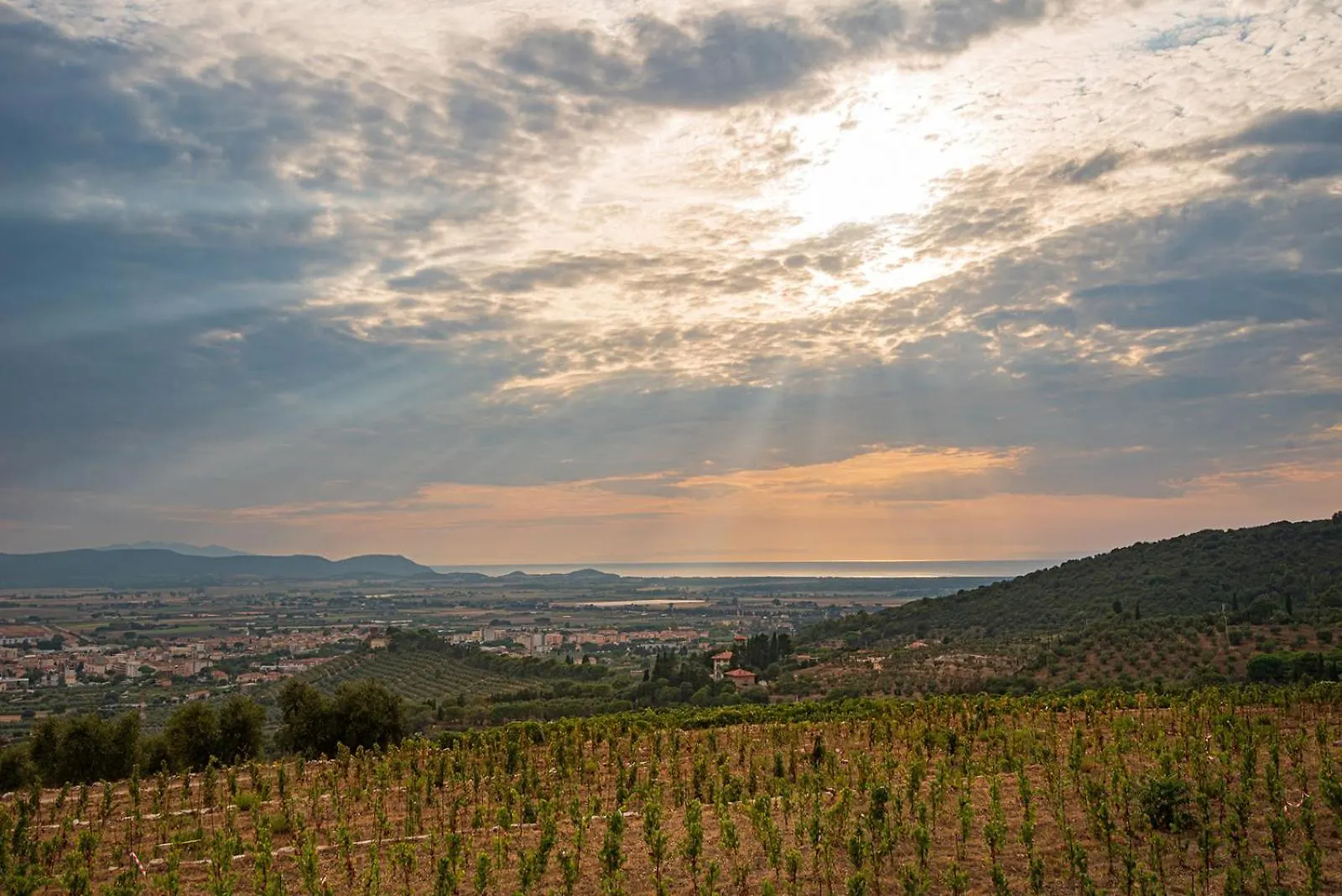 Castello Bonaria Wine & Spa Resort Campiglia Marittima 4*,  Italy